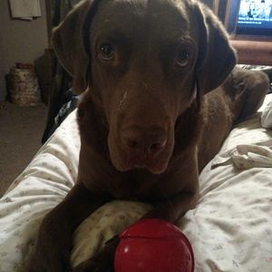 Meet your Posher, Sally